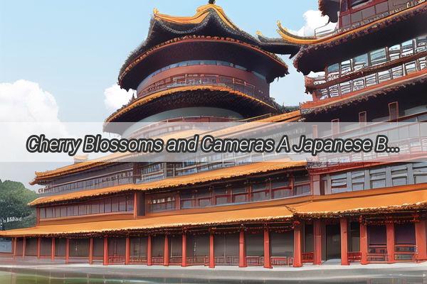 Cherry Blossoms and Cameras A Japanese Beauty Unveils Her Charm in the Ancient Land of Suzhou